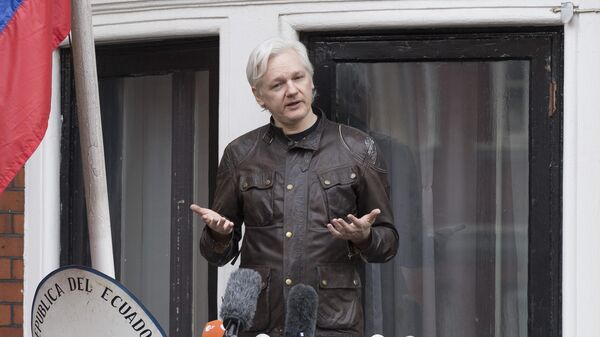 Assange to Testify Before PACE Human Rights Committee in First Appearance Since Prison Release