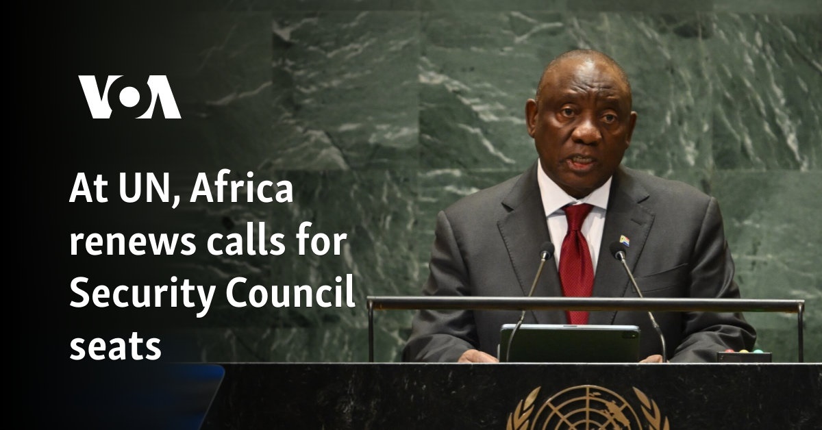 At UN, Africa renews calls for Security Council seats