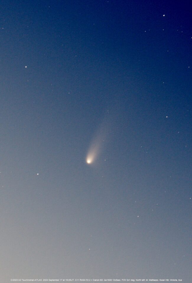 A comet with a bright head and fuzzy tail extending to the upper right in a medium blue sky with a few stars.