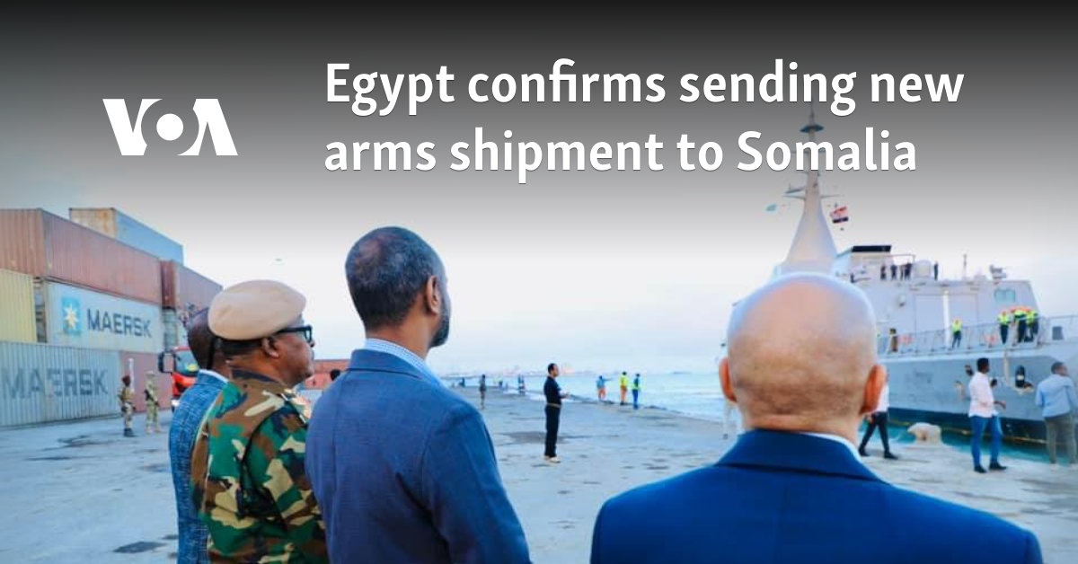 Egypt confirms sending new arms shipment to Somalia