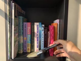 A paintbrush being used to dust a bookshelf