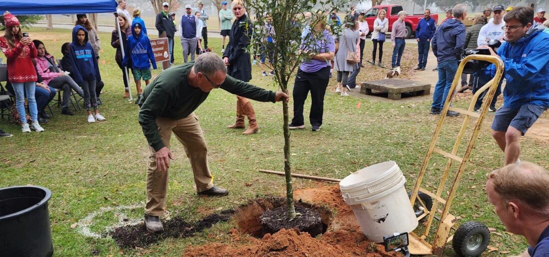 In Mobile, Citizens Speak for the Trees