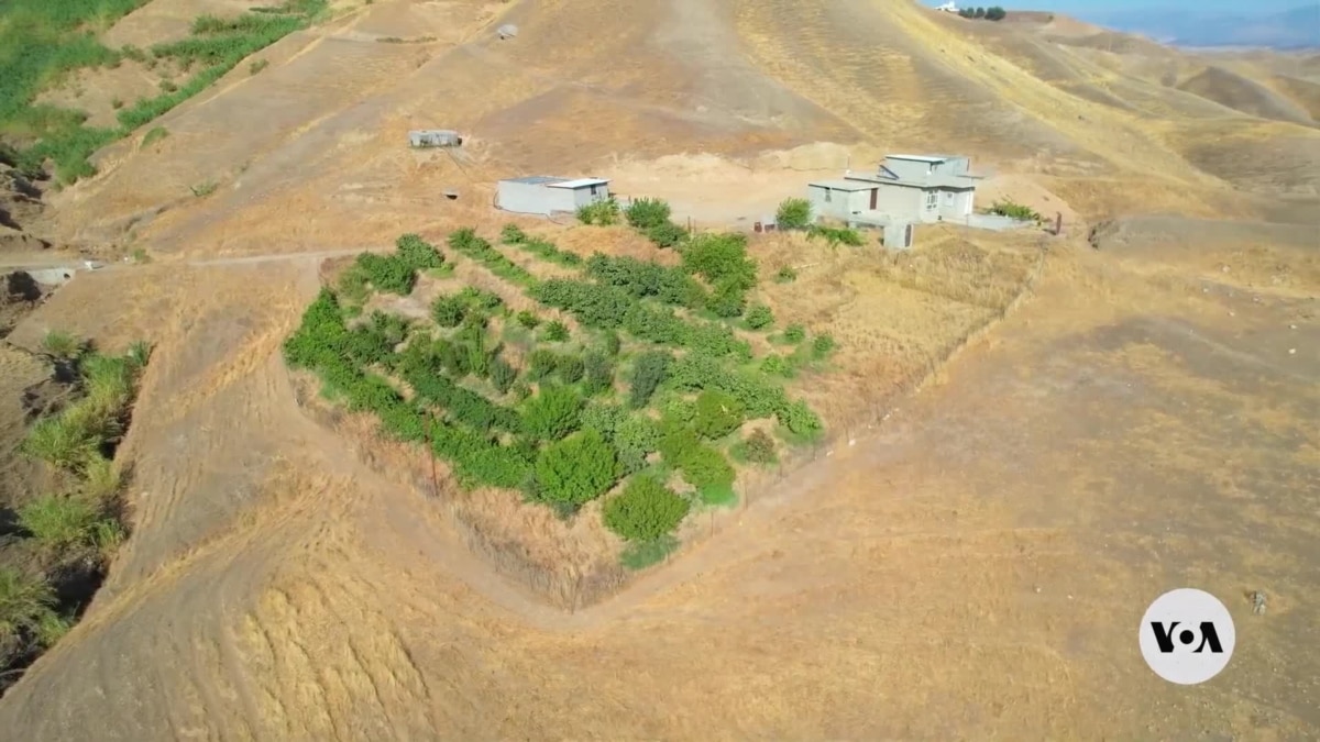 Kurdish woman works to revive abandoned hometown