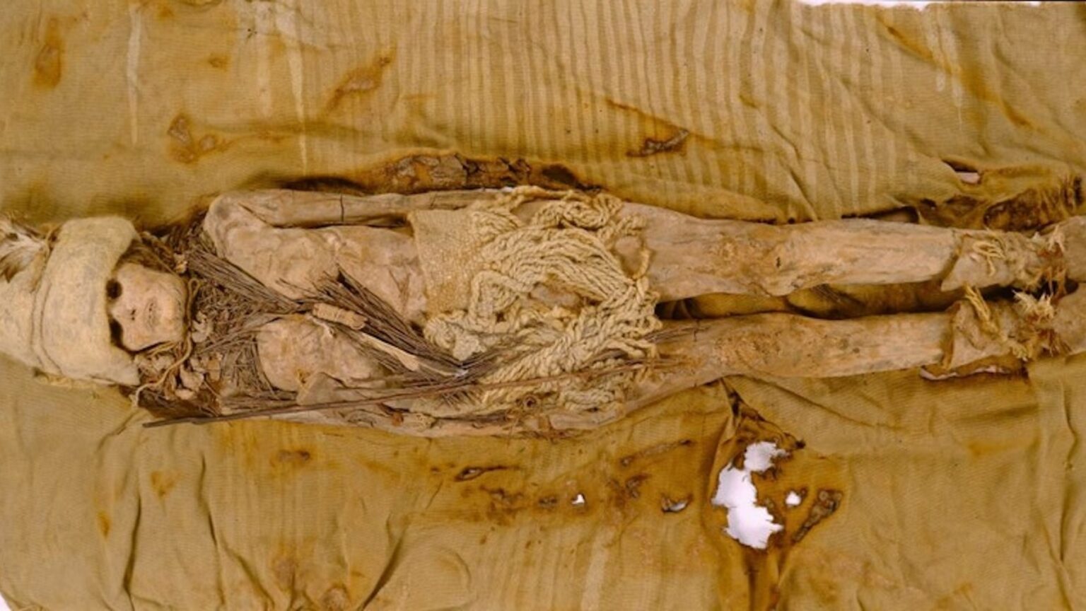 A mummy found at a cemetery in China.