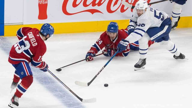 Robertson shines again, Hildeby stands tall as Maple Leafs take fiery win