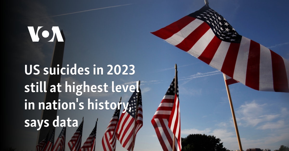 US suicides in 2023 still at highest level in nation's history, says data