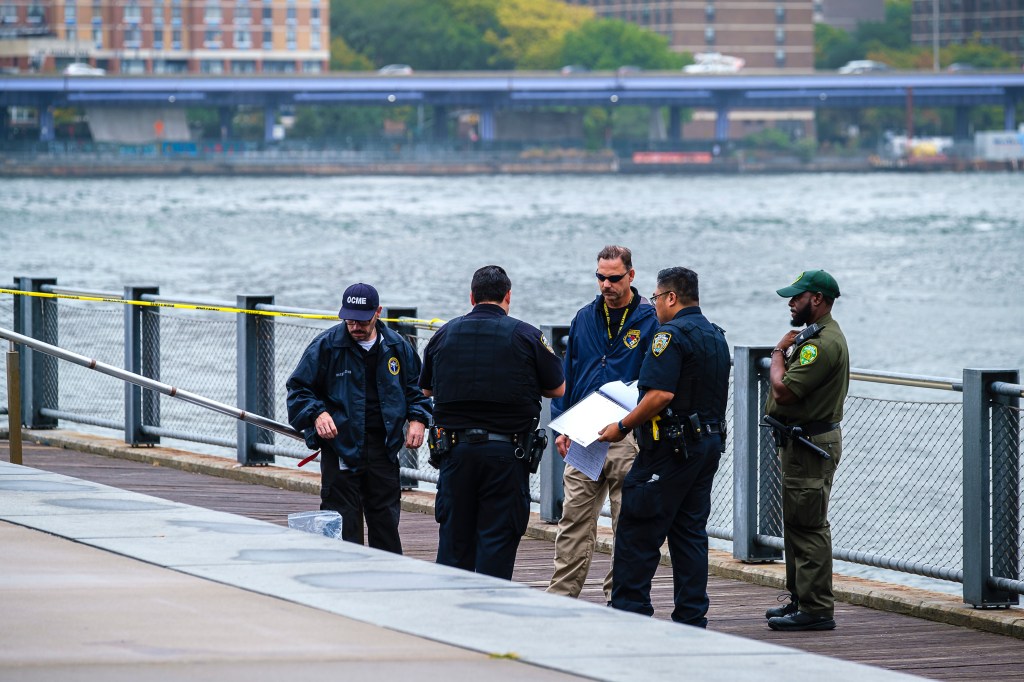 ‘Brooklyn Bone Park’: Possible human remains again found near iconic DUMBO carousel