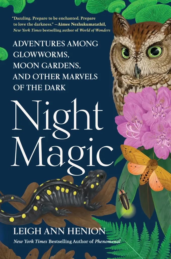 ‘Night Magic’ invites you to celebrate the living wonders of the dark