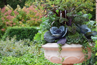 11 Easy-Care All-Foliage Container Gardens for Fall