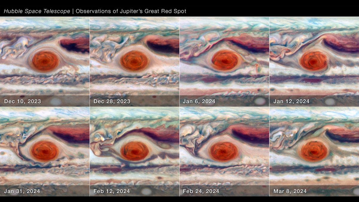 An eight-paneled image showing the width of the Great Red Spot changing over time