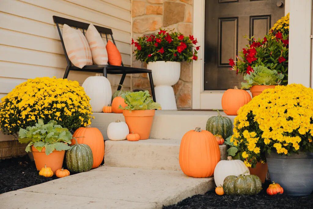 7 Brilliant Ways to Keep Your Pumpkin from Rotting, According to a Gardener