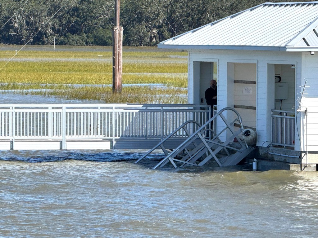 7 people killed when dock collapses on Georgia island