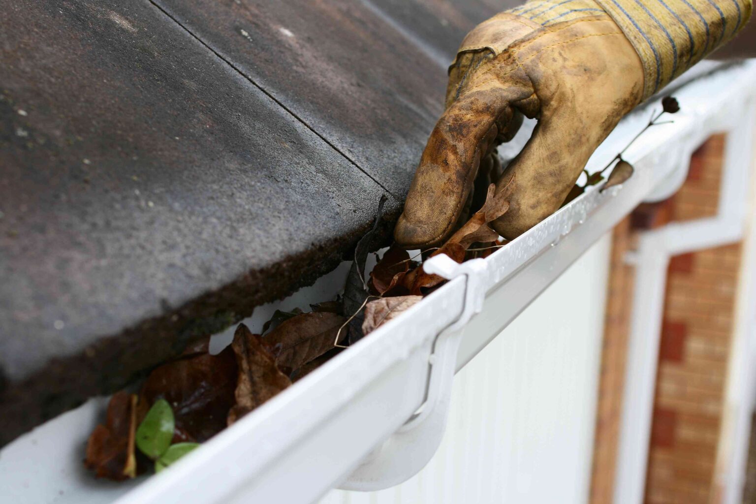 8 Gutter Cleaning Mistakes You Should Avoid This Fall (And What to Do Instead)