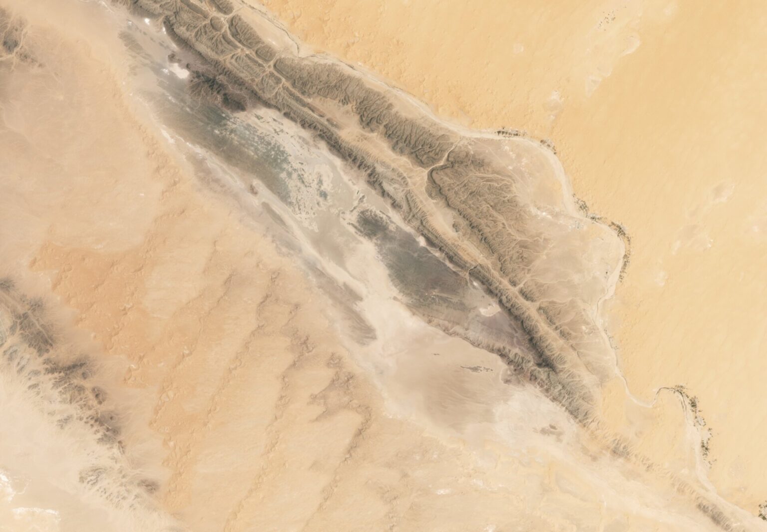 A Lake Materializes in the Sahara Desert, Offering a Glimpse Into Africa's Past