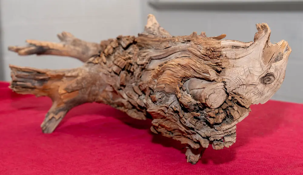 a piece of driftwood on a red table