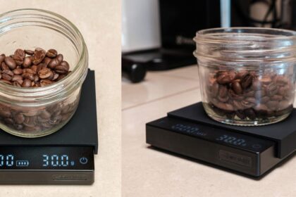 Two photos of a coffee scale with a cup of coffee beans in it: at left is a top-down view, and at right is a side view.