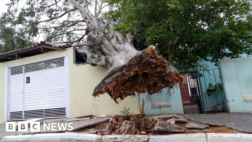 Brazil: Eight dead as storms bring strong winds and downpours