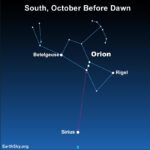 Brightest star, Sirius: Star chart with Orion, arrow from 3-star Belt to lone star Sirius below.