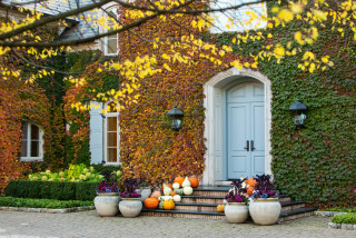 Celebrate Fall With 9 Nature-Themed Outdoor Decorations