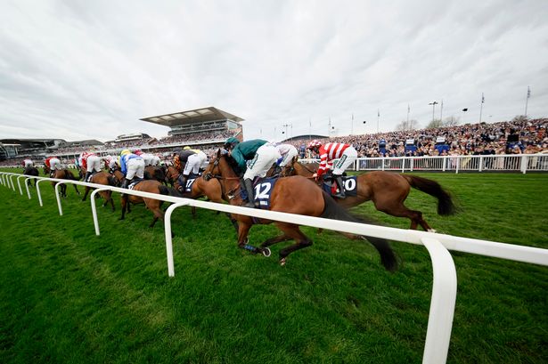 Claim a free pair of horse racing tickets in association with Racing TV this winter