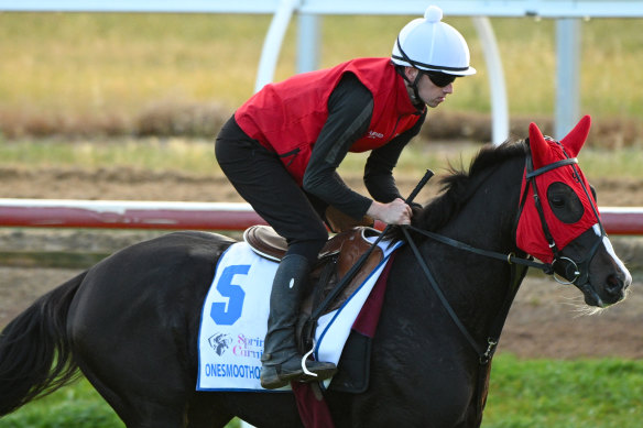 The Brian Ellison trained-stayer is based at Werribee