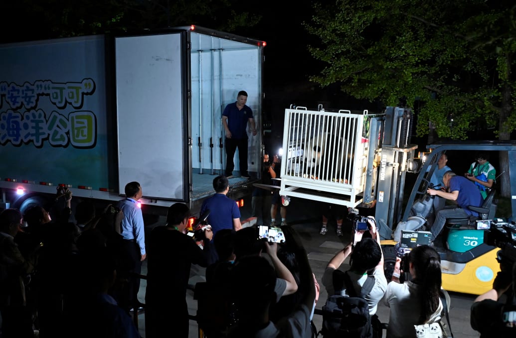 A crate with a panda in it being forklifted into a truck