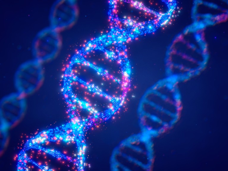 An illustration of a DNA helix made up of blue and pink colours