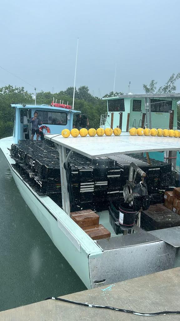 Despite Florida’s Difficult Storm Season, Stone Crab Season Is Clawing Ahead 