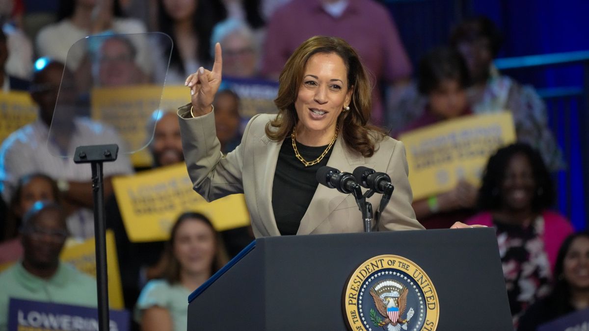 Does Kamala Harris have bigger plans than tweaks to the Affordable Care Act?