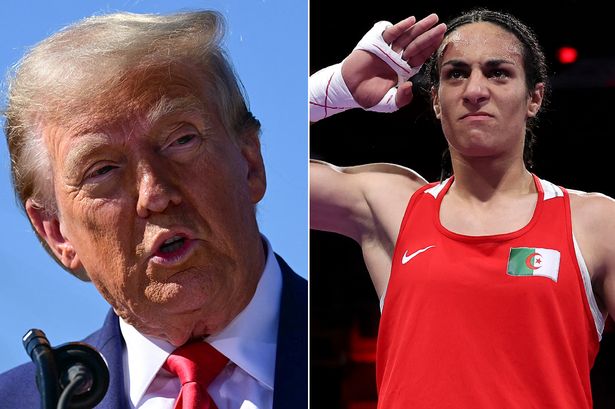 Donald Trump calls boxer Imane Khelif a 'man' during podcast with WWE's Undertaker