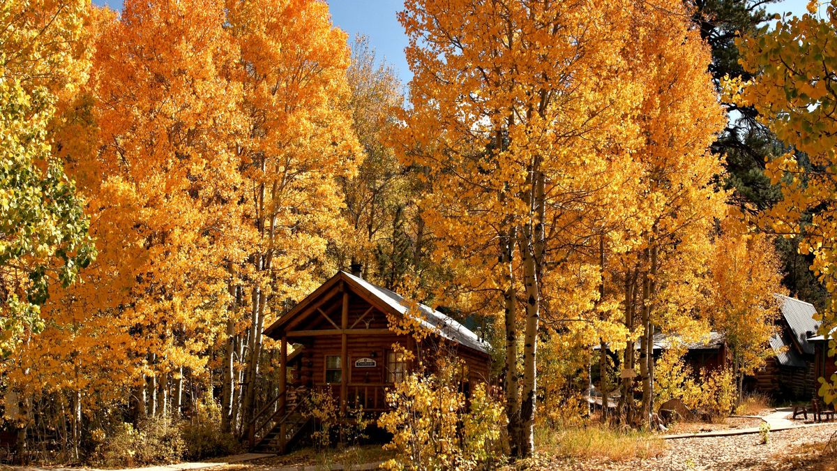 Fall is the best time to live that cabin life. These 6 getaways prove the power of isolation.