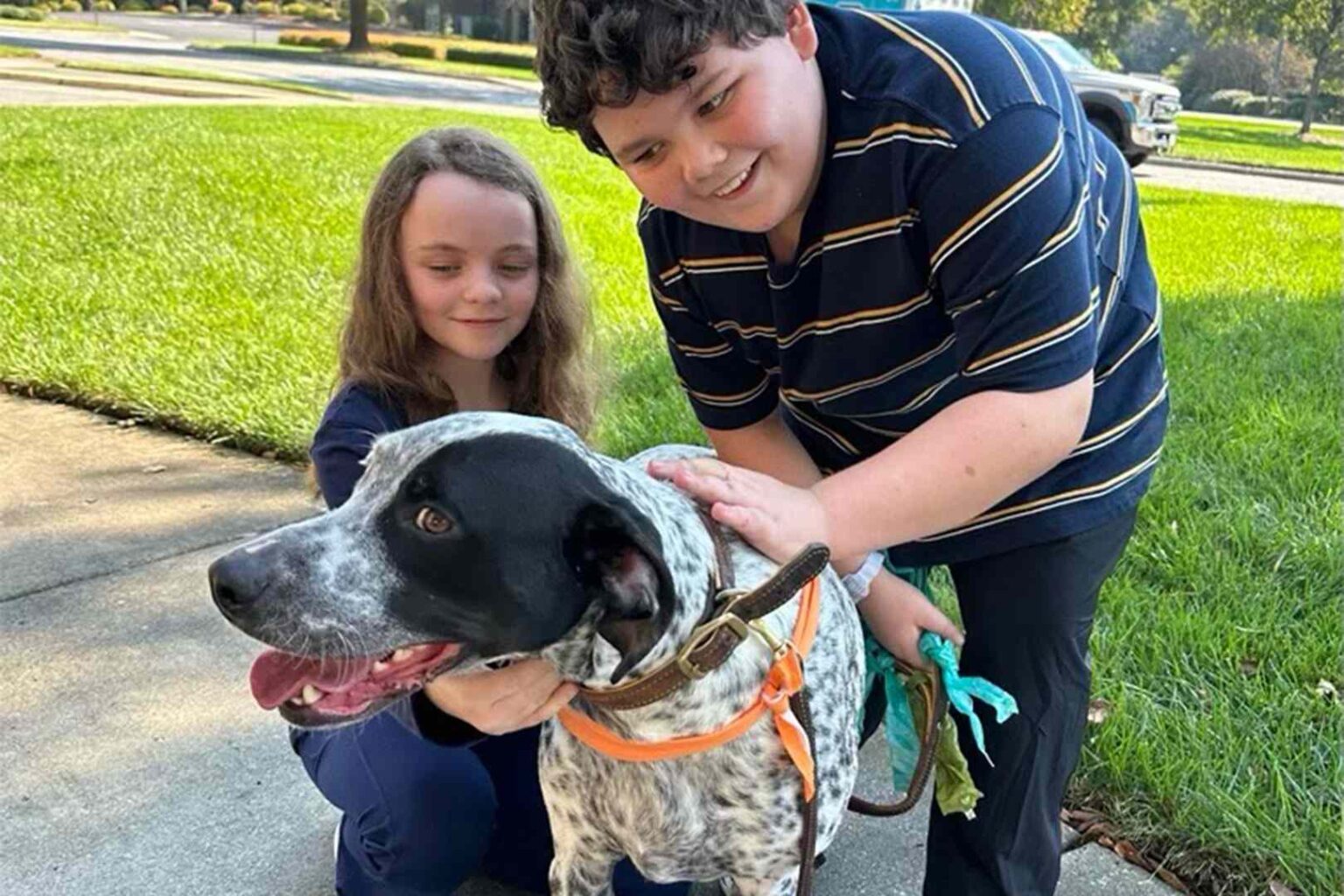 Family Dog Locates 11-Year-Old Boy Under 12 Feet Of Mudslide Debris During Hurricane Helene