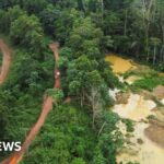 Galamsey: Ghana's illegal gold mining industry causes environmental destruction