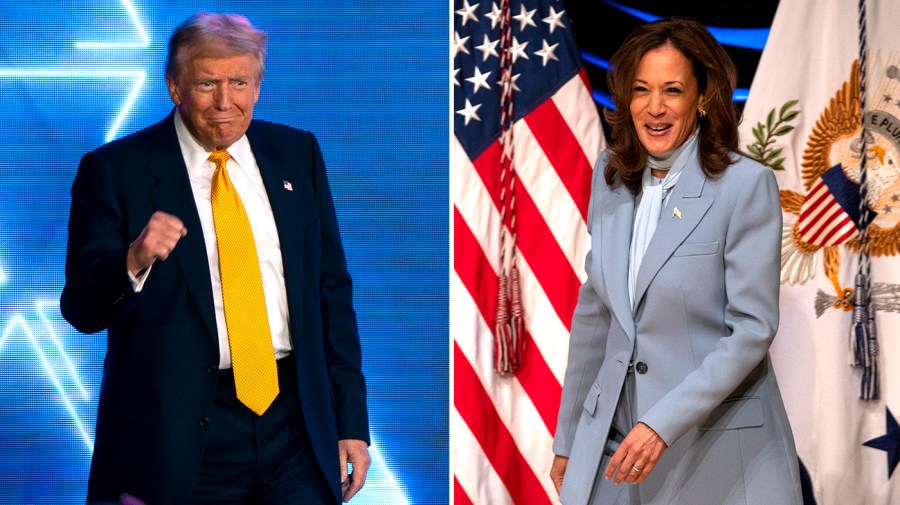 Harris, Trump trade insults over who is fit to serve