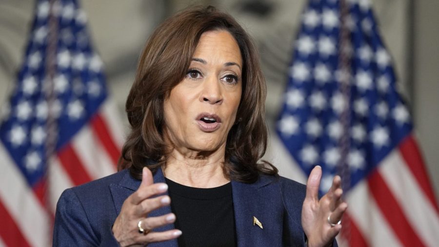 Harris criticizes Trump for ‘belittling’ Americans with ‘garbage can’ remark