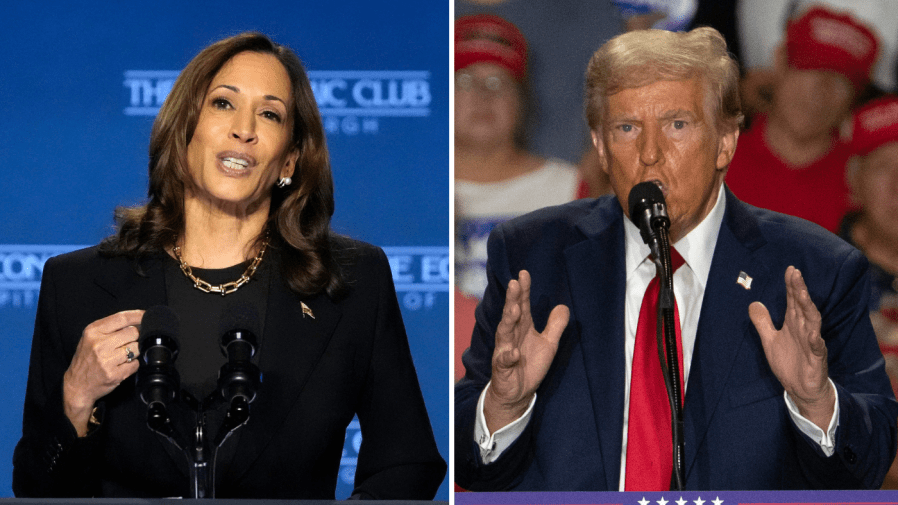 Harris holds 3-point lead over Trump in national survey