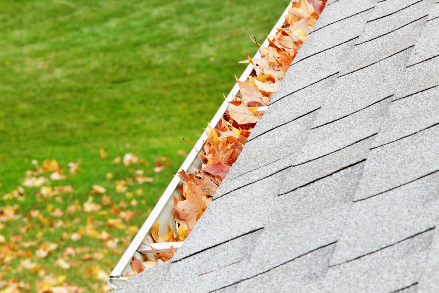 How Often Should You Clean Your Gutters? 7 Signs It Might Be Time to Add It to Your Chore List