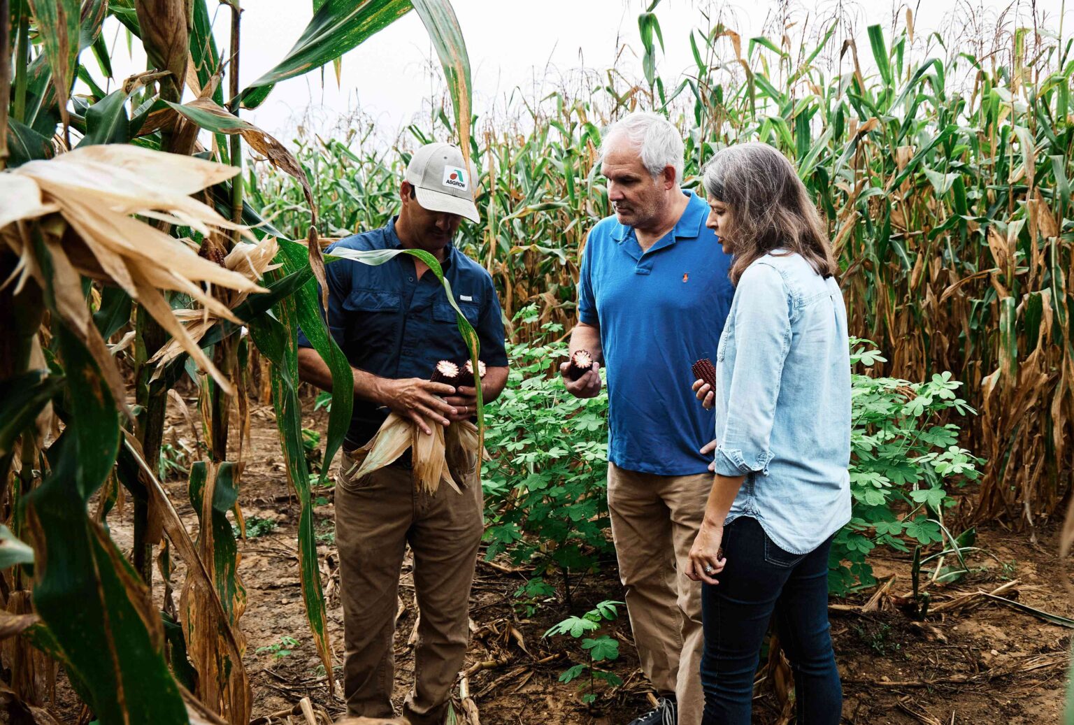 How an Award-Winning Distillery Helped Saved a Grain From Near Extinction