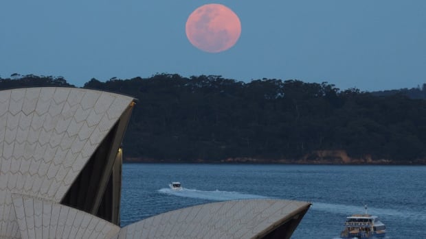 IN PHOTOS | Stargazers get a 2-for-1 treat with supermoon, comet | CBC News