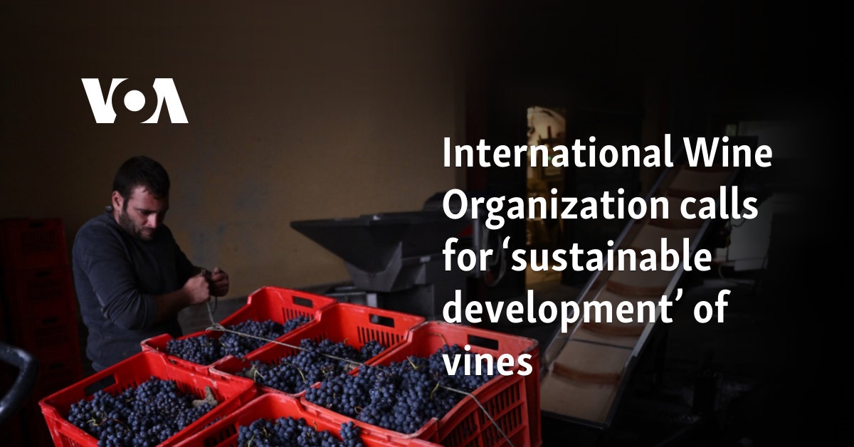 International Wine Organization calls for ‘sustainable development’ of vines