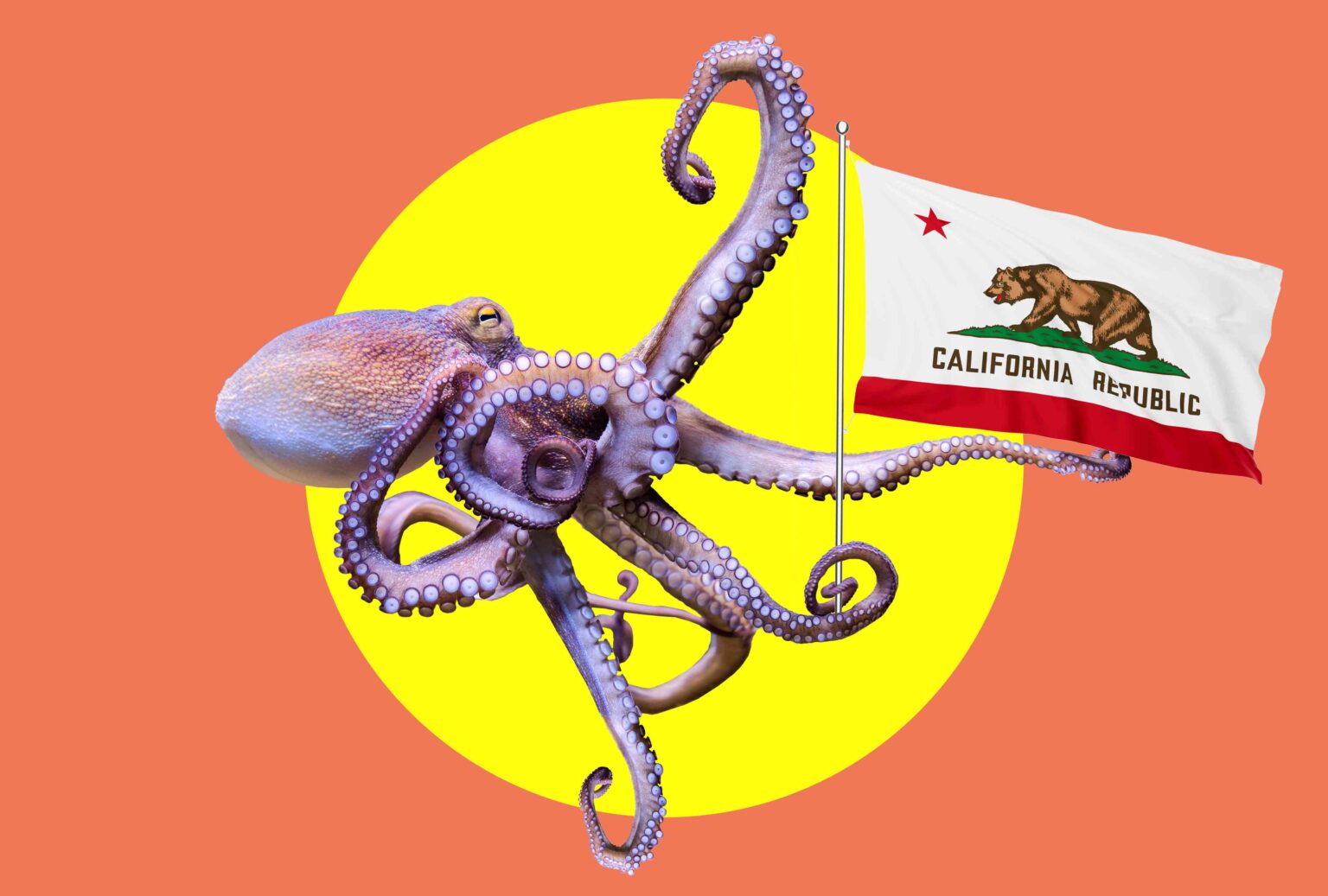 It's Now Illegal to Farm Octopus in California — Here's Why