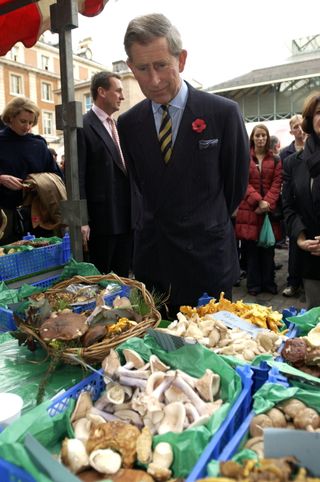 King Charles wearing a suit and inspecting mushrooms