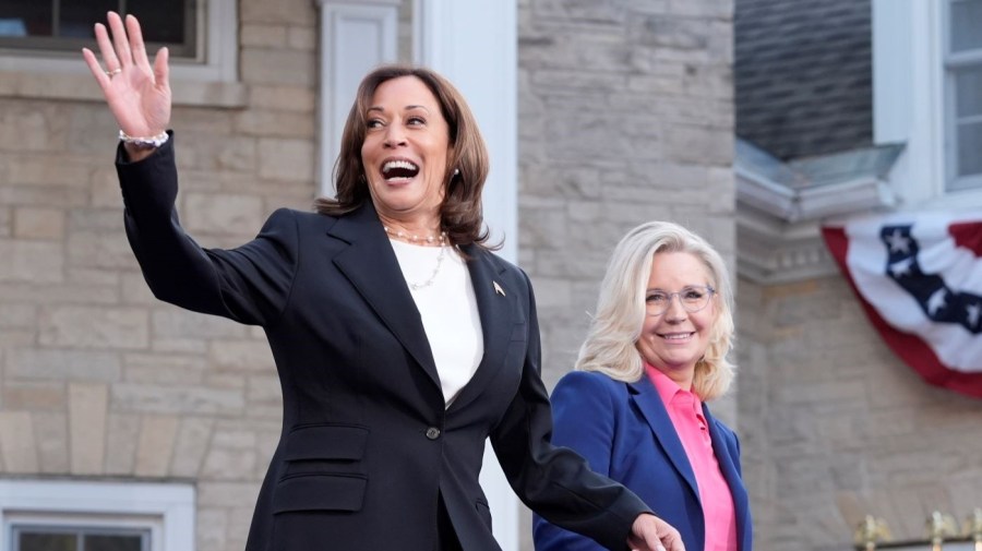 Liz Cheney makes case for Harris in Wisconsin