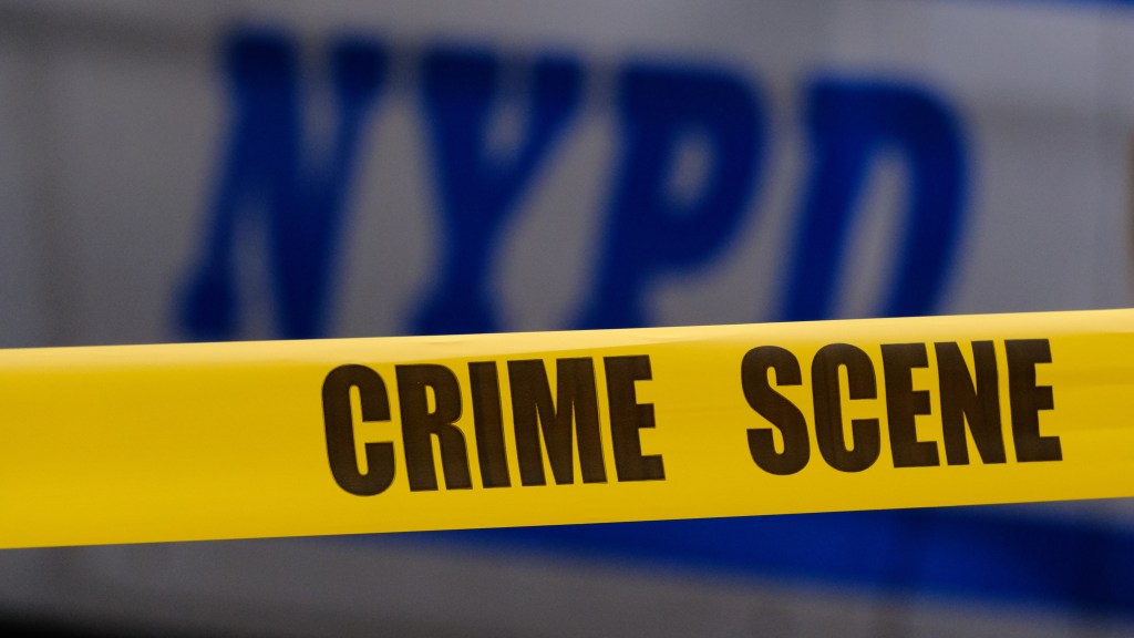 Man, 40, shot to death on Bronx street