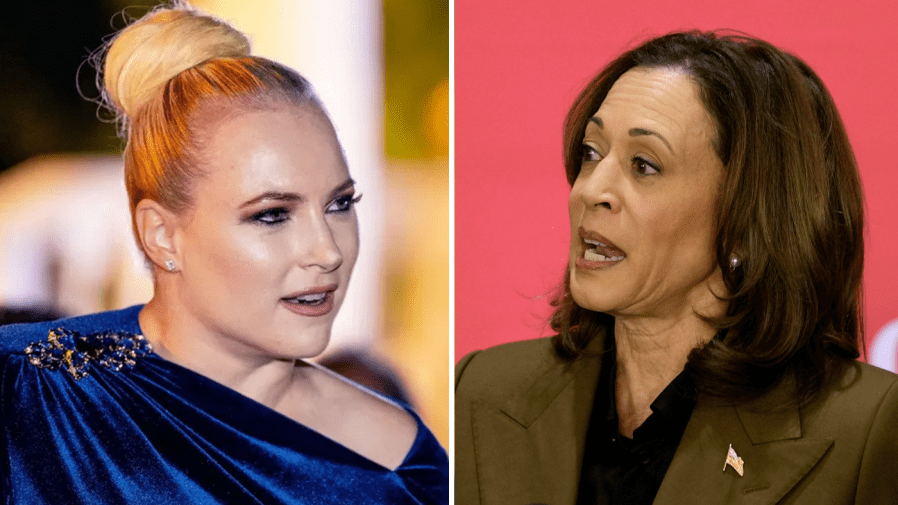 Meghan McCain on Harris invoking her father: ‘Democrats want to reinvent history’