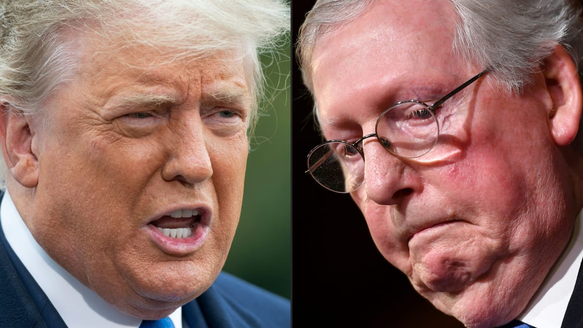 Mitch McConnell Called Donald Trump a ‘Stupid’ and ‘Despicable Human Being’