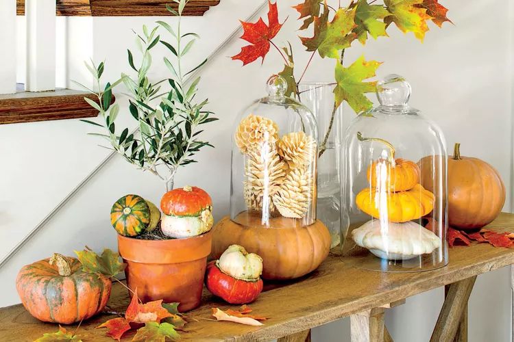 My Grandmother Always Chose The Perfect Fall Pumpkins And Gourds—Here Are Her Tricks