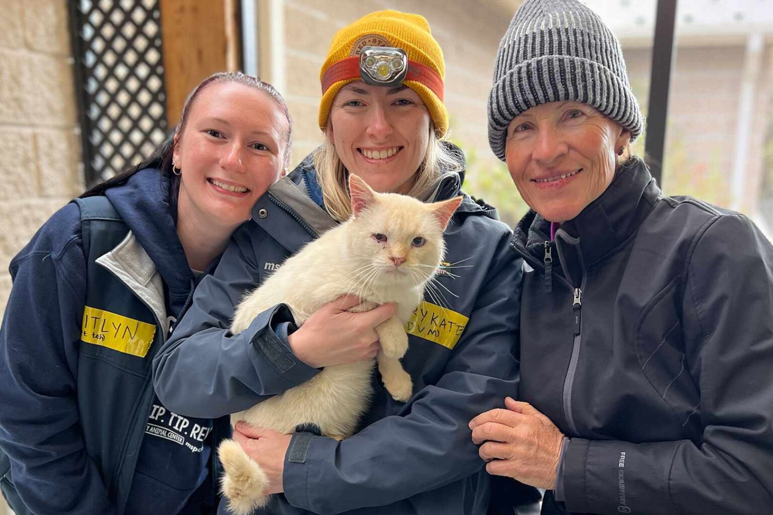 North Carolina Cat Turns Up 8 Days After His Family Watched Him Disappear In Hurricane Helene Floodwaters