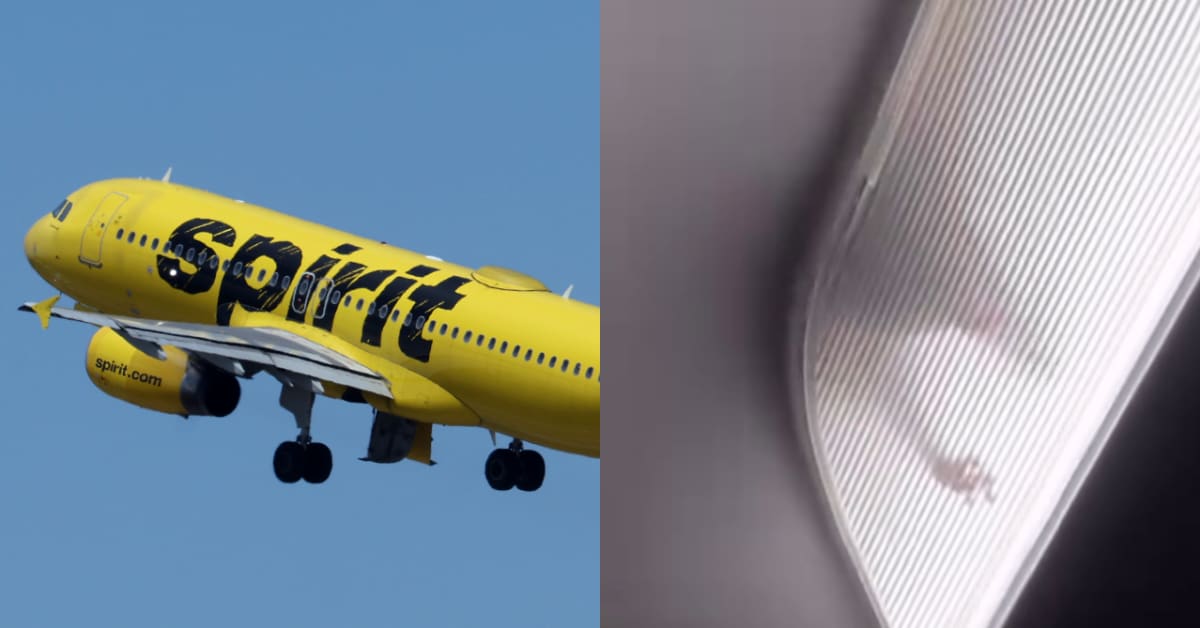 Passengers Spot ‘Super Rat’ Running in Cabin During Spirit Airlines Flight