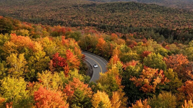 Peak foliage is here. Here are some unexpected places to catch the colors.